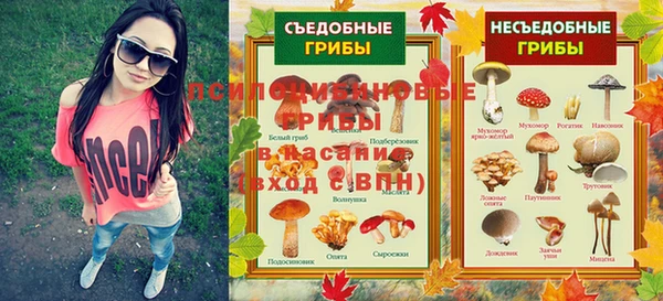 дмт Абдулино
