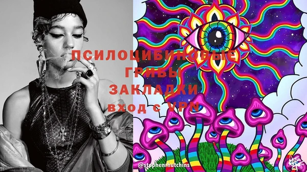 прущий лед Абаза