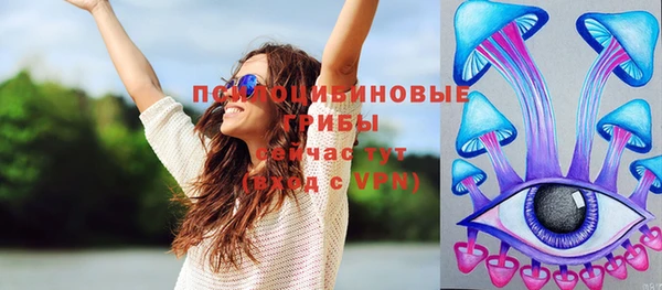 прущий лед Абаза